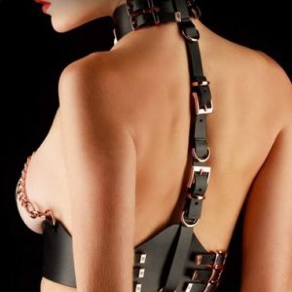 Honey Birdette Equestrian Harness, Size: S/M Rare find